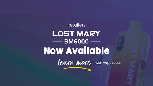 Lost Mary BM6000 Pod Kit