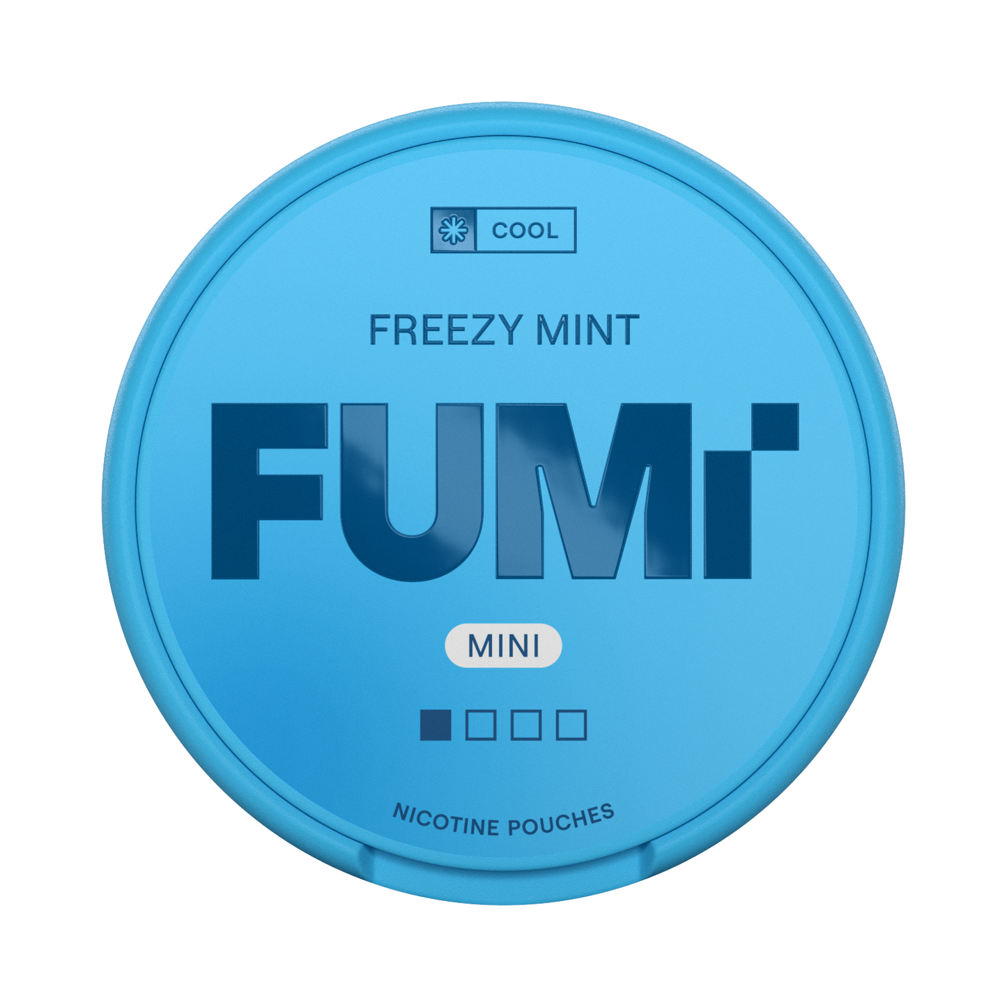 FUMI Freezy Mint Mini