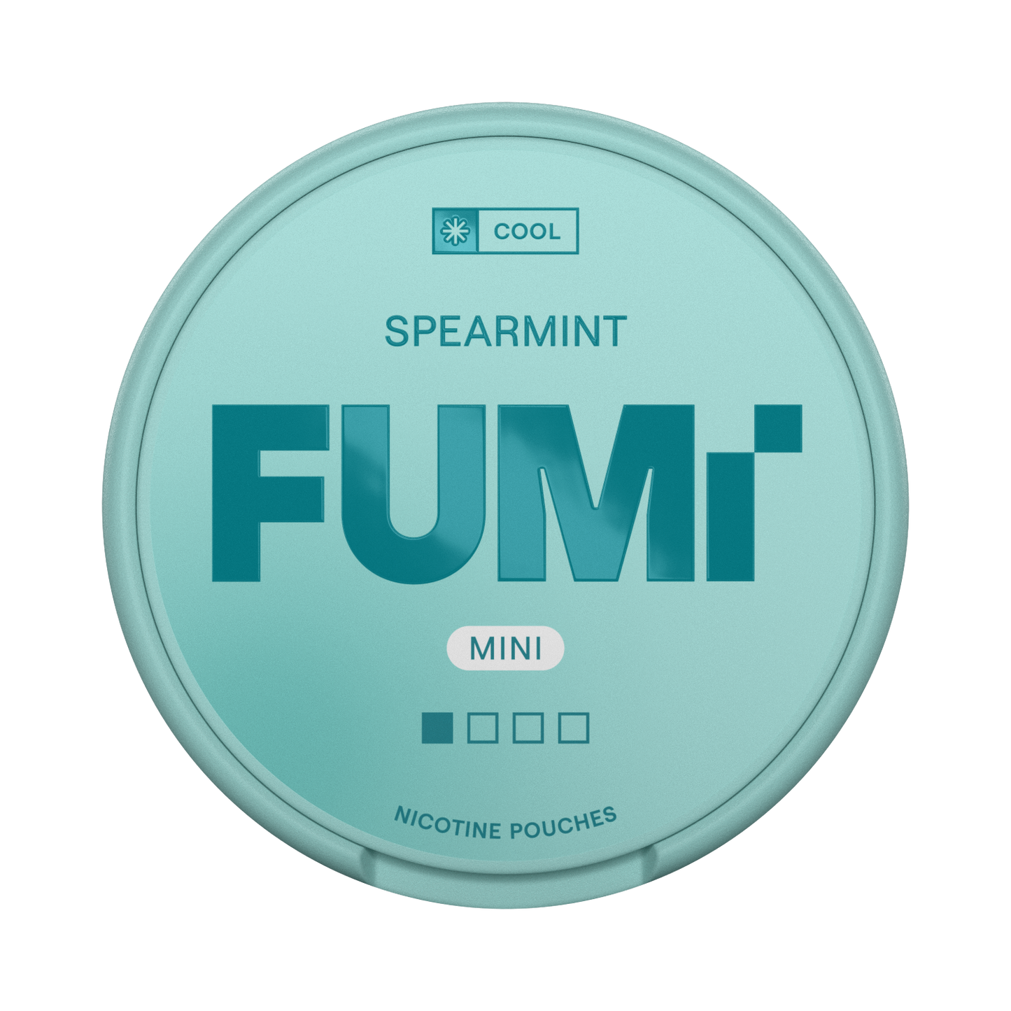 FUMI Spearmint Mini