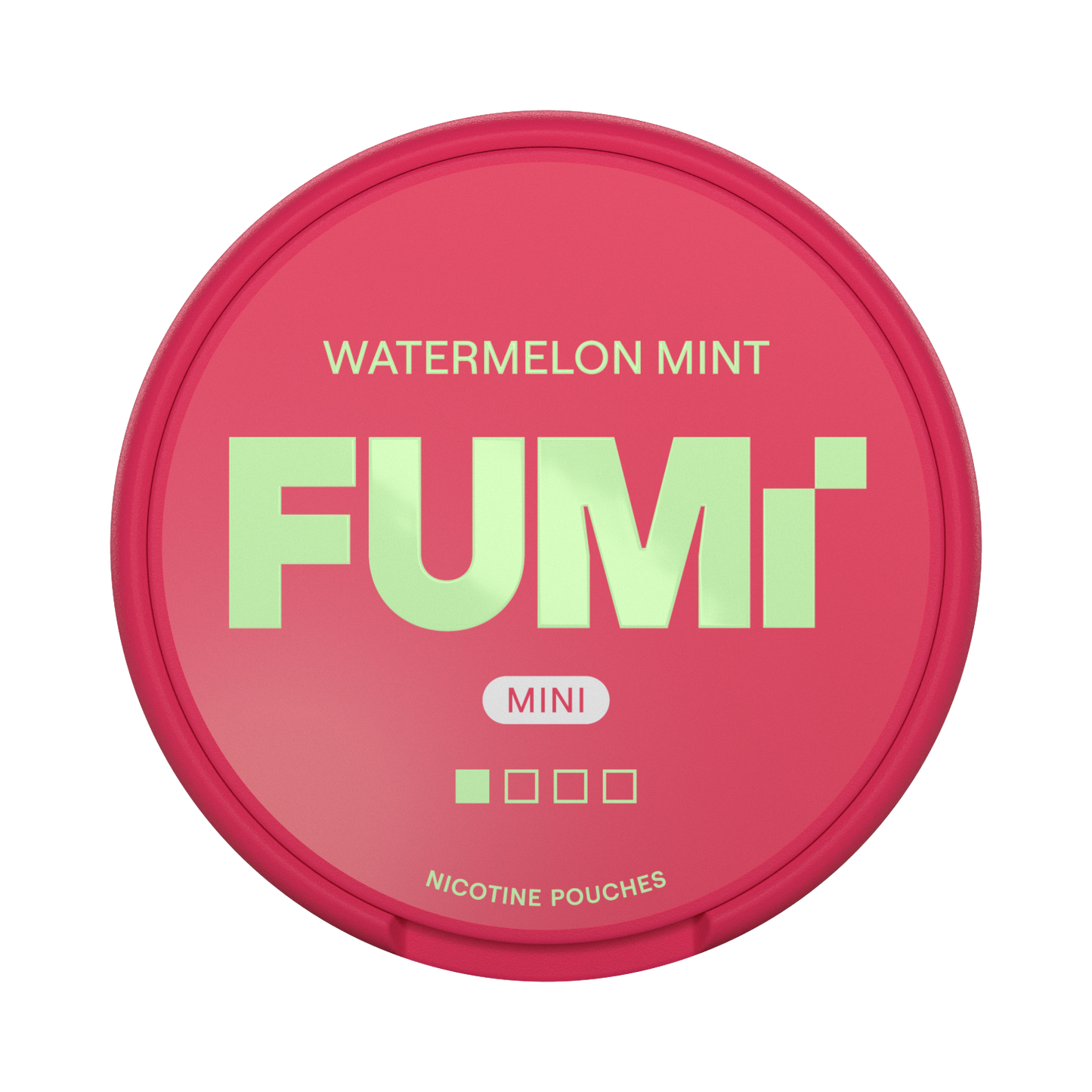 FUMI Watermelon Mint Mini