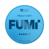 FUMI 2.0 Freezy Mint 11mg